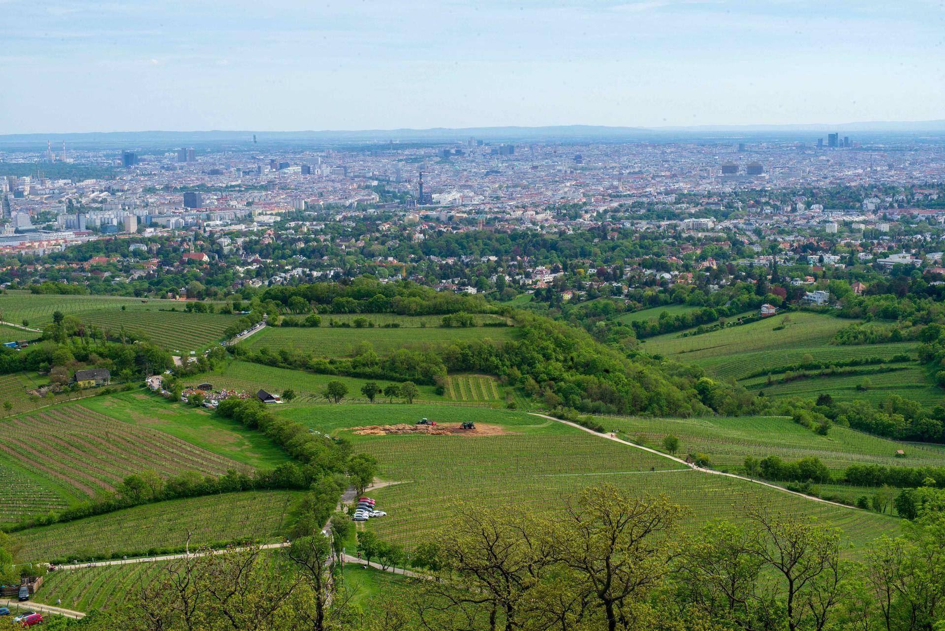 Panoramablick auf eine Stadt und die umliegende grüne Landschaft von einem hohen Aussichtspunkt.