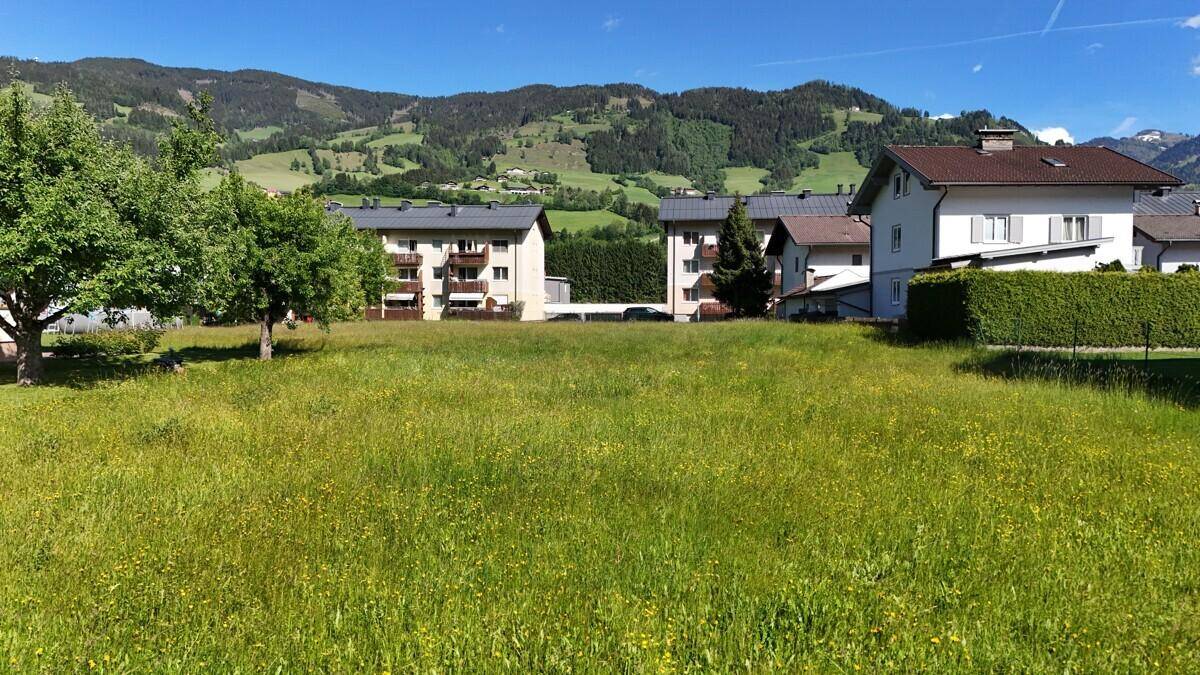 Sonniger Blick über eine blühende Wiese mit Häusern und Bergen im Hintergrund.