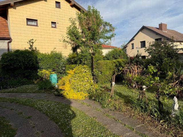 Gartenbereich mit Rasen, Sträuchern, Bäumen und einem gepflasterten Weg.