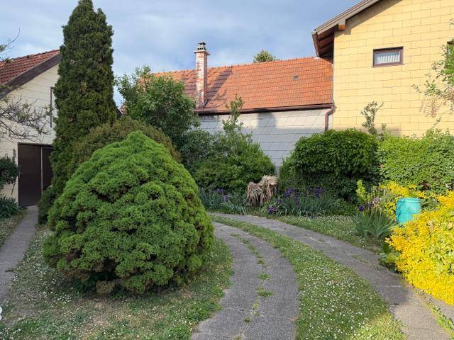 Garten mit üppiger Bepflanzung, Bäumen und einem geschwungenen Zufahrtsweg.