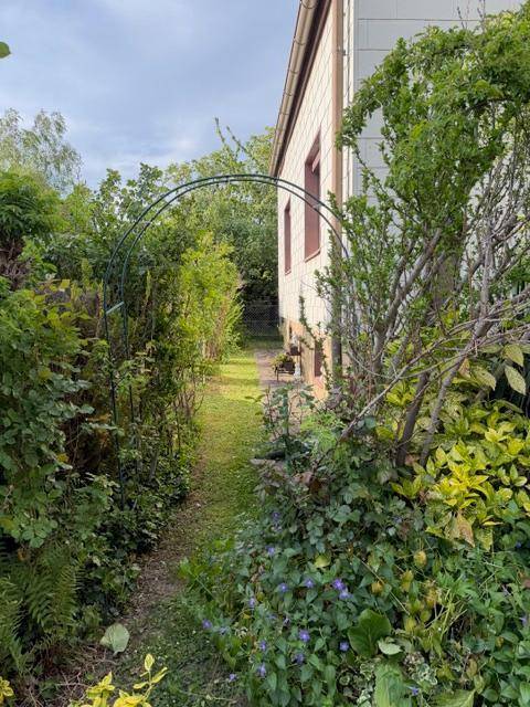 Schmaler Gartenweg zwischen hohen Hecken und üppiger Vegetation entlang des Hauses.