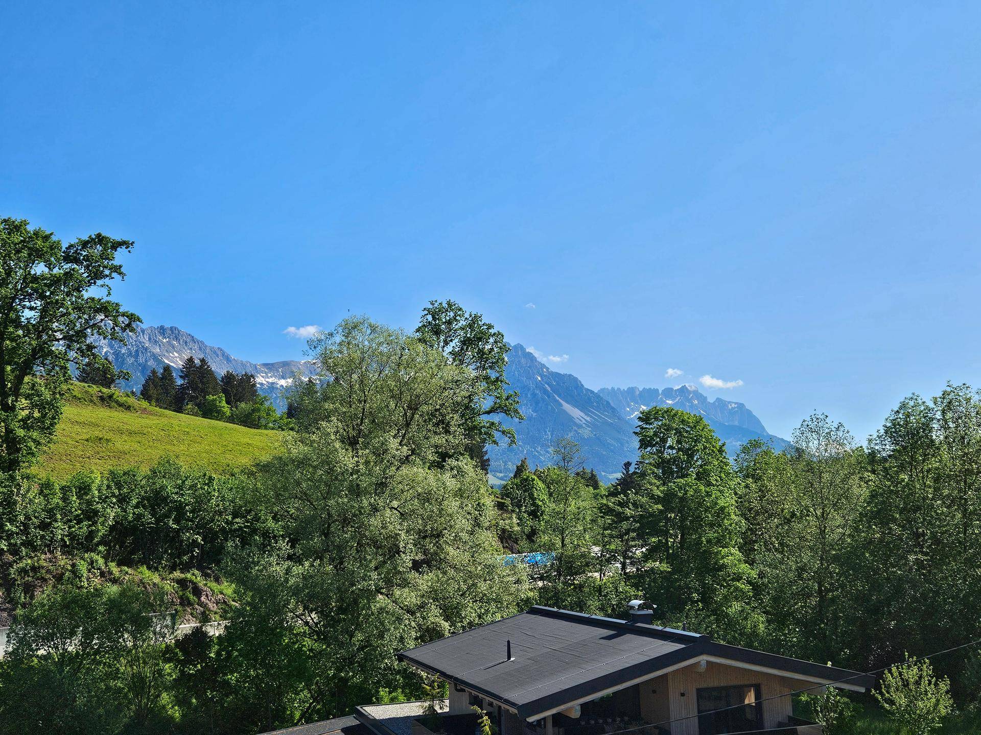 Weitläufiger Blick auf die majestätischen Berge und grüne Baumwipfel unter strahlend blauem Himmel.