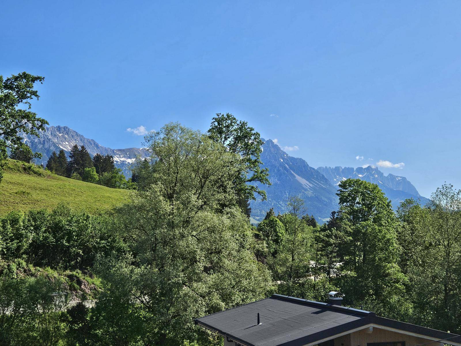 Weitläufiger Blick auf die majestätischen Berge und grüne Baumwipfel unter strahlend blauem Himmel.