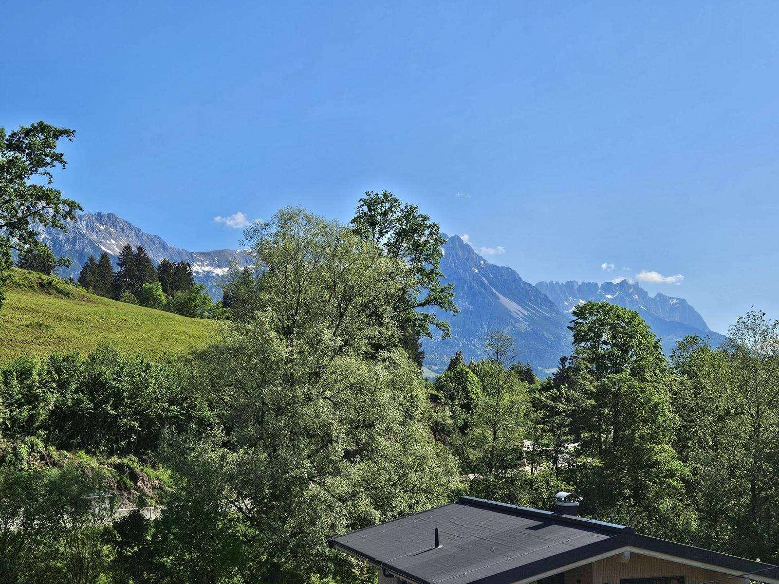 Weitläufiger Blick auf schneebedeckte Berge über grünen Baumwipfeln und Dächern.