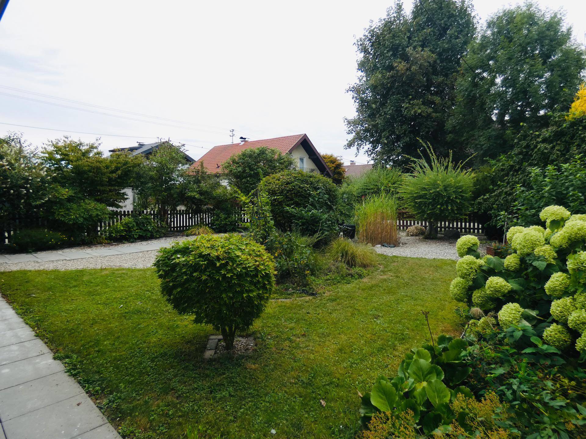 Grüner Gartenbereich mit Rasenfläche, verschiedenen Sträuchern und Bäumen, umgeben von einem Holzzaun.