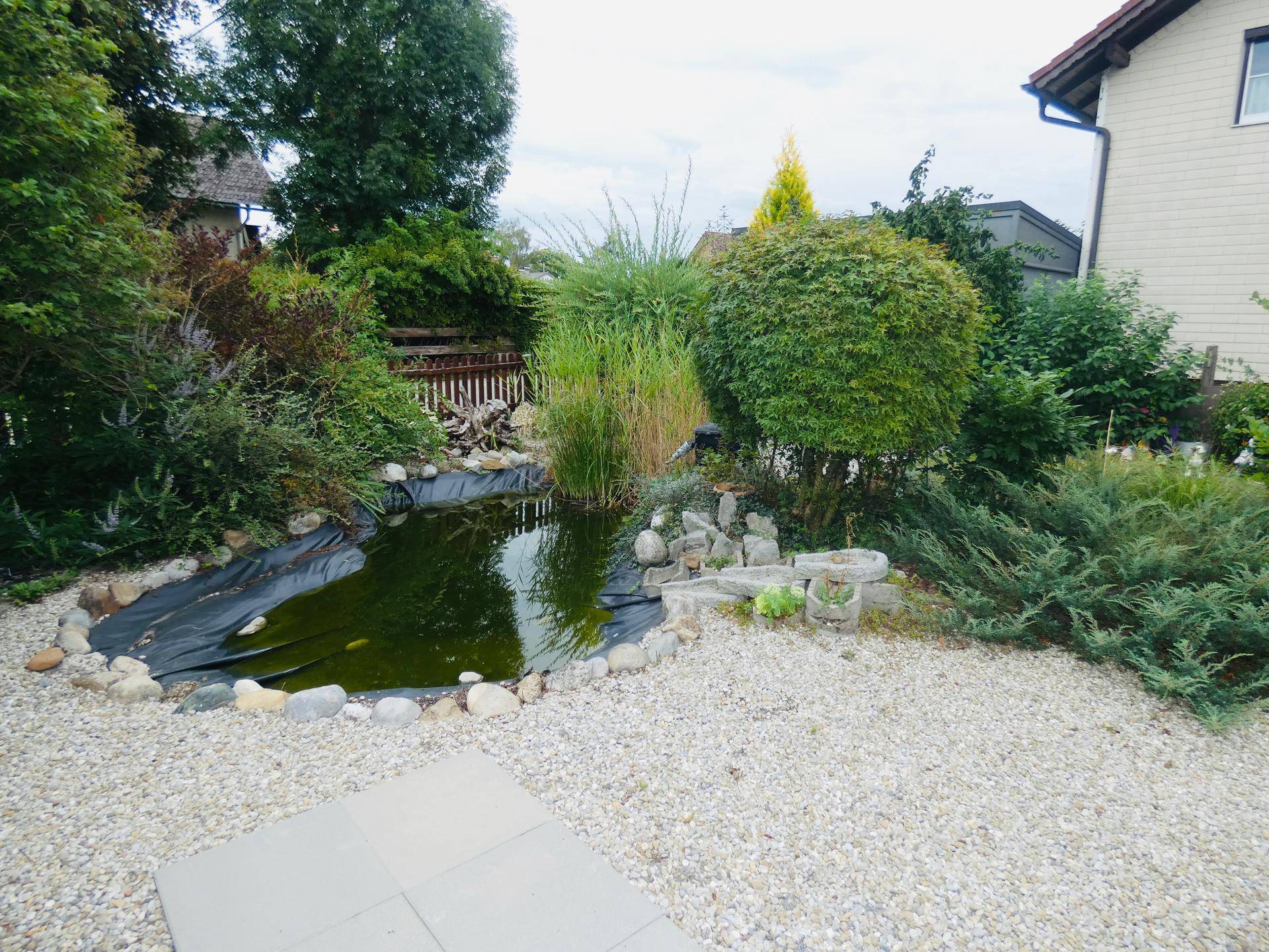 Naturnaher Gartenbereich mit einem Teich, umgeben von Kies und verschiedenen Pflanzen und Sträuchern.