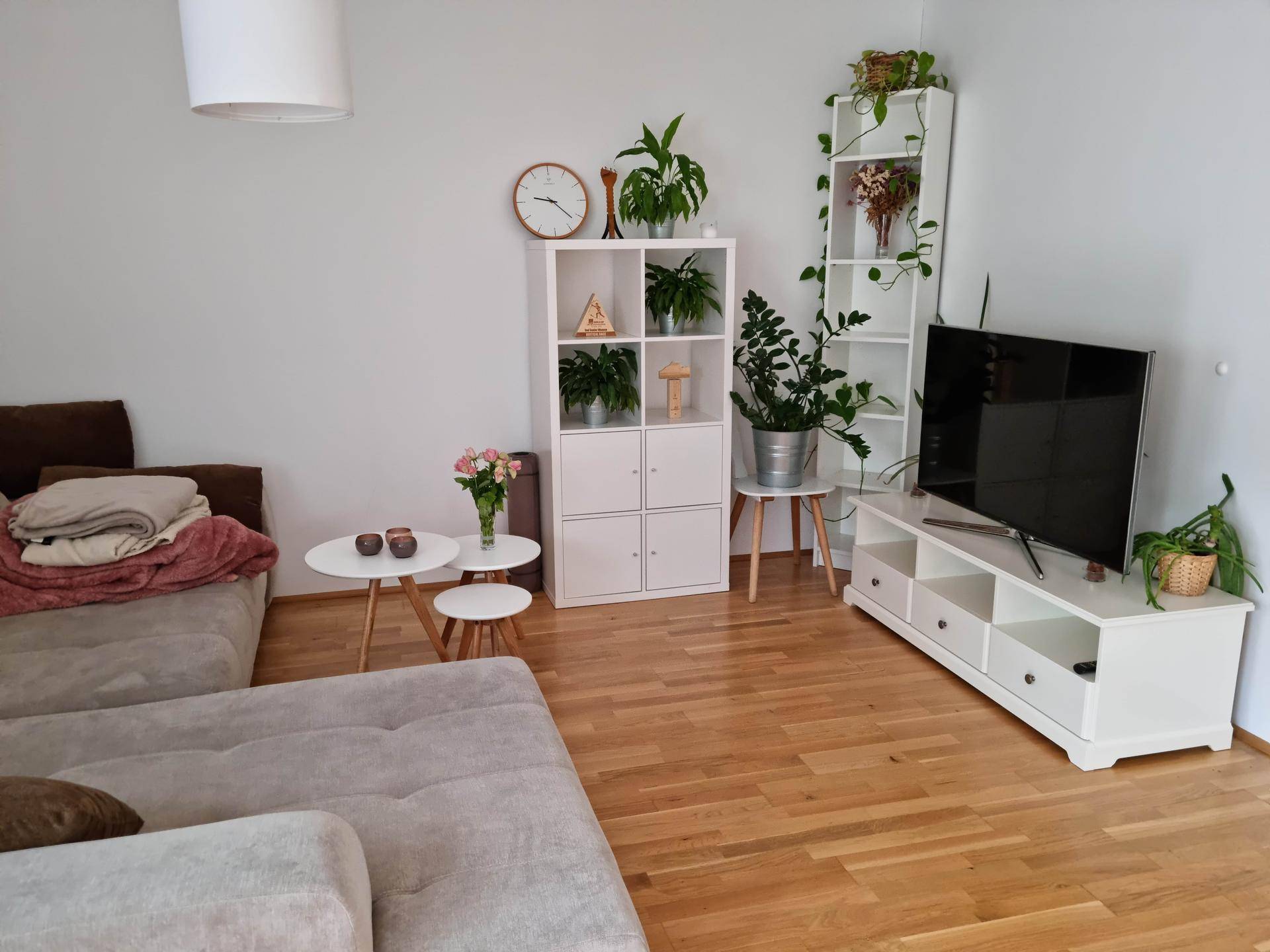 Gemütliches Wohnzimmer mit Holzboden, Sofa und modernen Regalen voller Pflanzen.