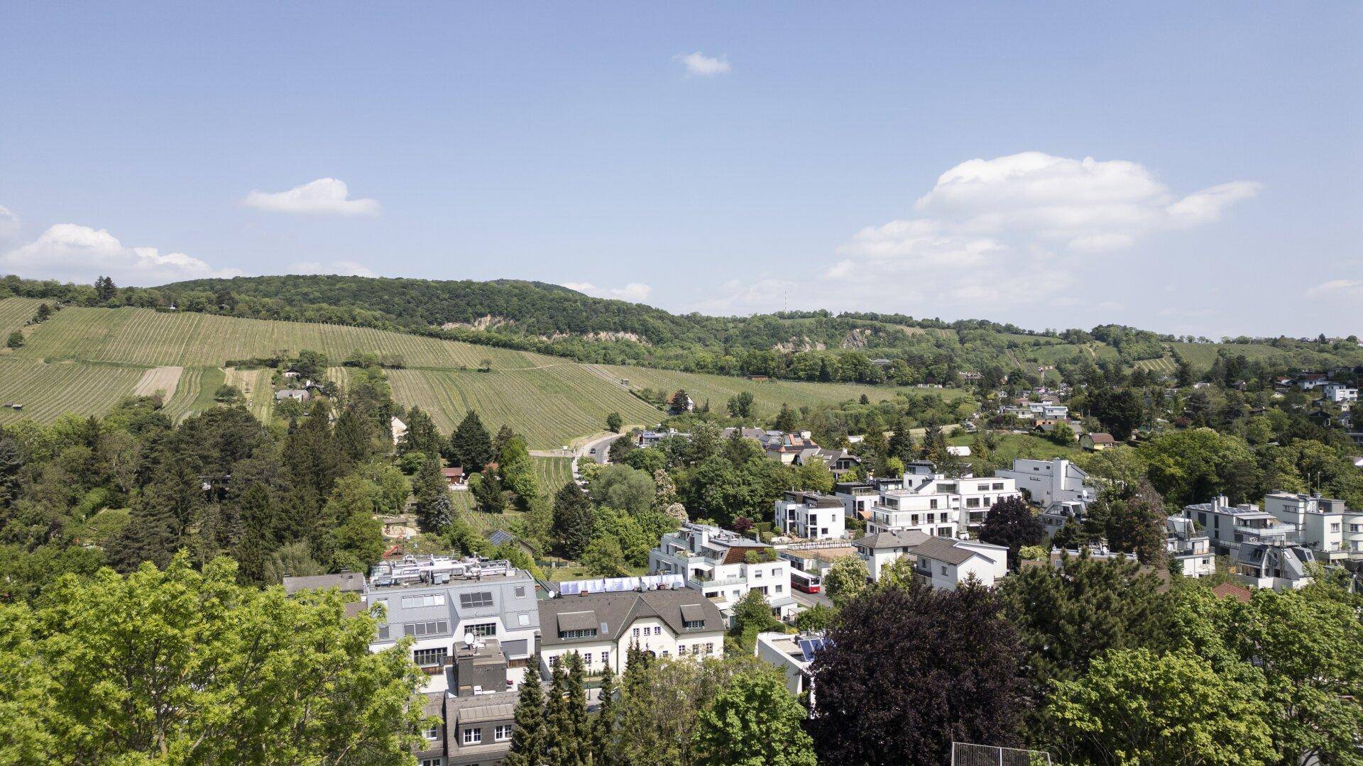 Weitläufiger Blick über eine grüne Wohngegend mit Weinbergen und vielen Bäumen unter blauem Himmel.