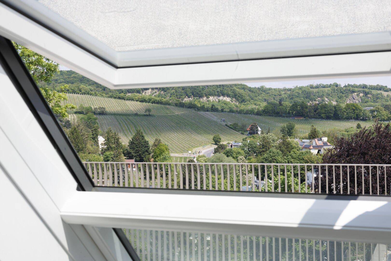 Blick aus einem geöffneten Dachfenster auf malerische Weinberge und eine grüne Hügellandschaft.