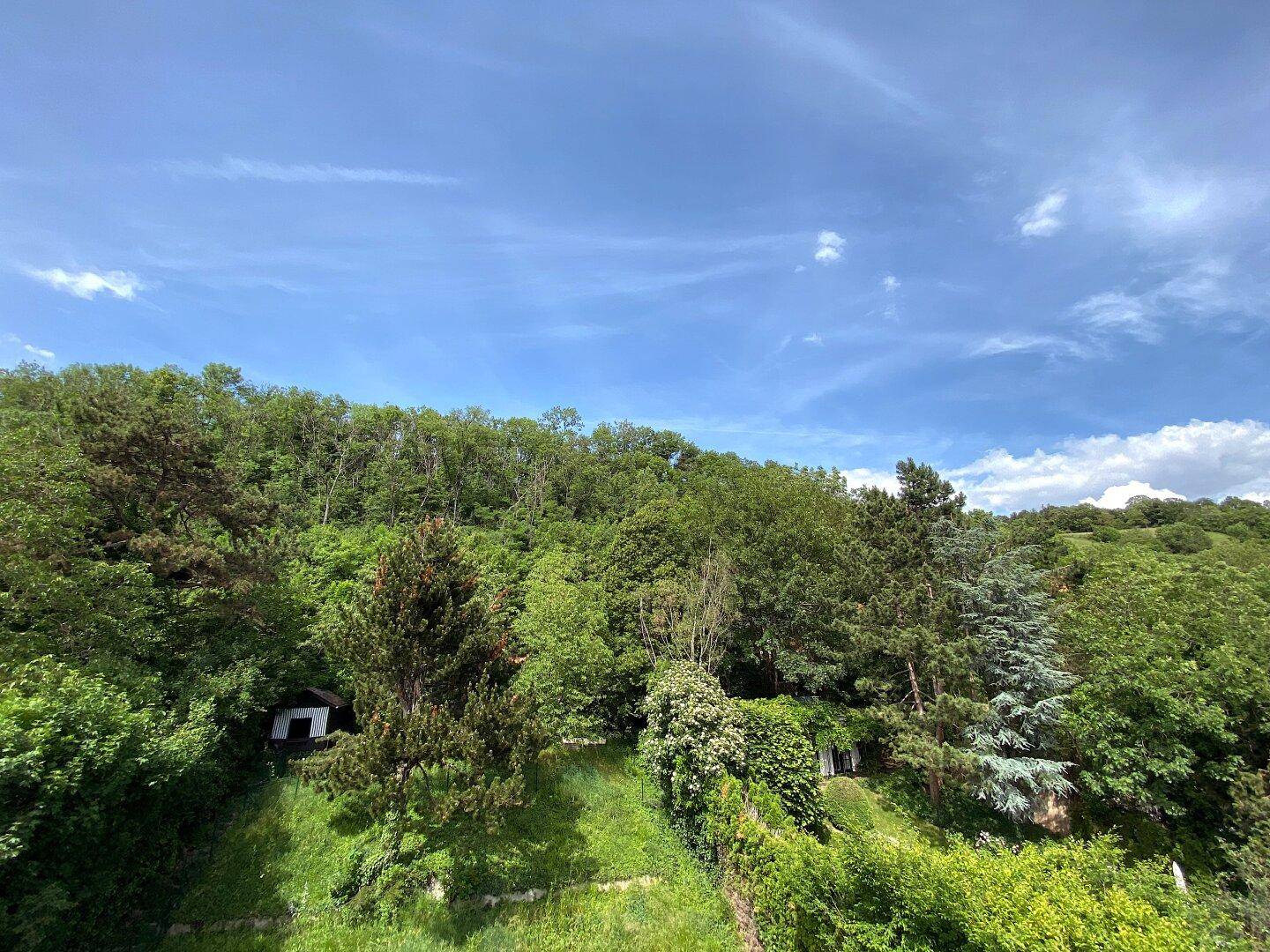 Weitläufige grüne Hügellandschaft mit dichtem Baumbestand unter einem klaren blauen Himmel.
