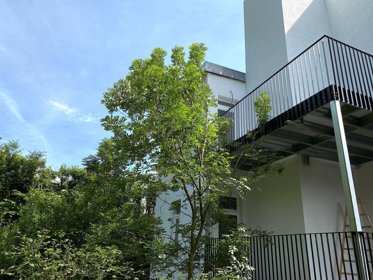 Detail der modernen Gebäudefassade mit Balkon und üppigem Grün im Vordergrund.