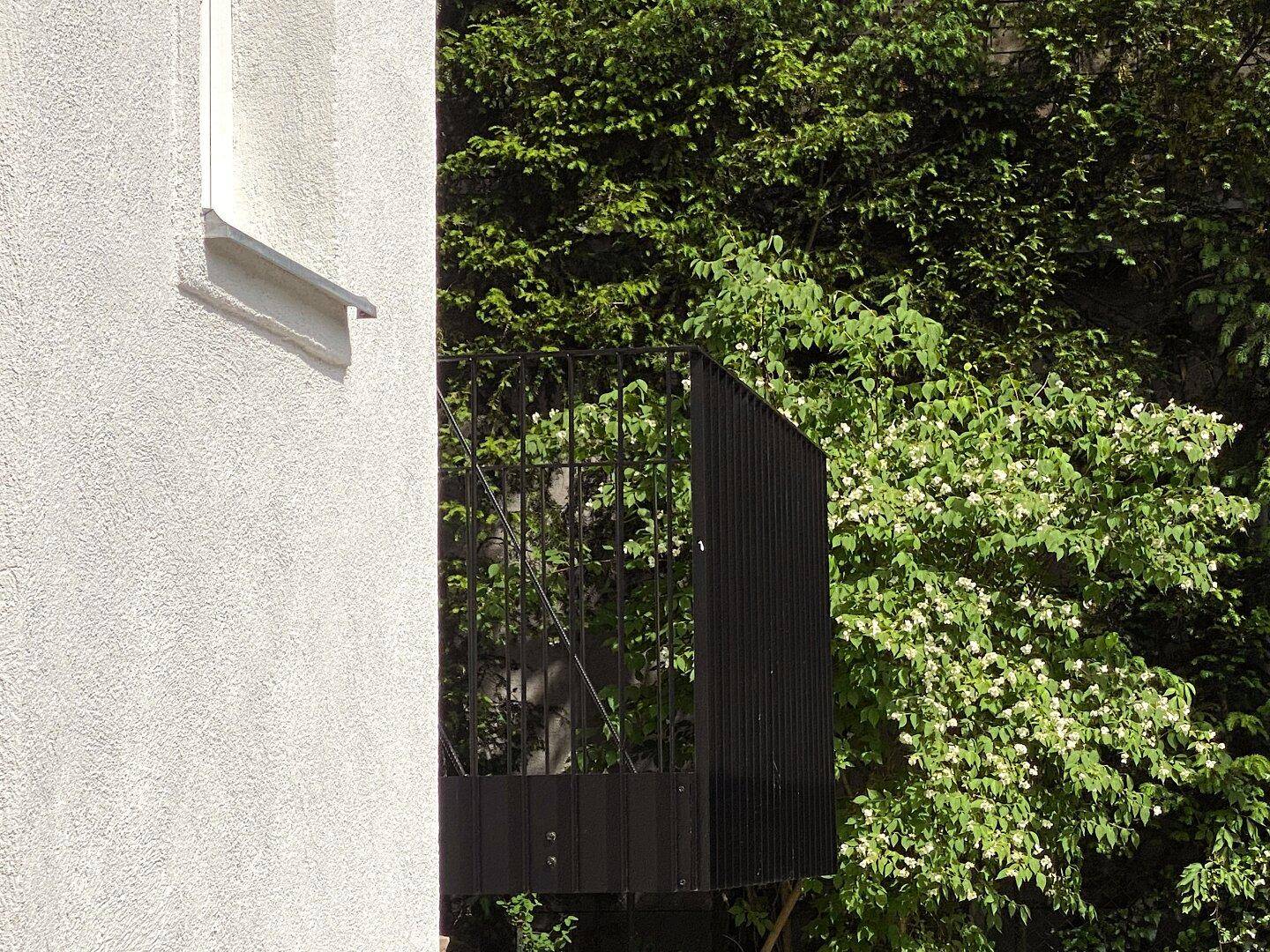 Kleiner schwarzer Balkon mit schmiedeeisernem Geländer, umgeben von üppigem Grün und Blüten.