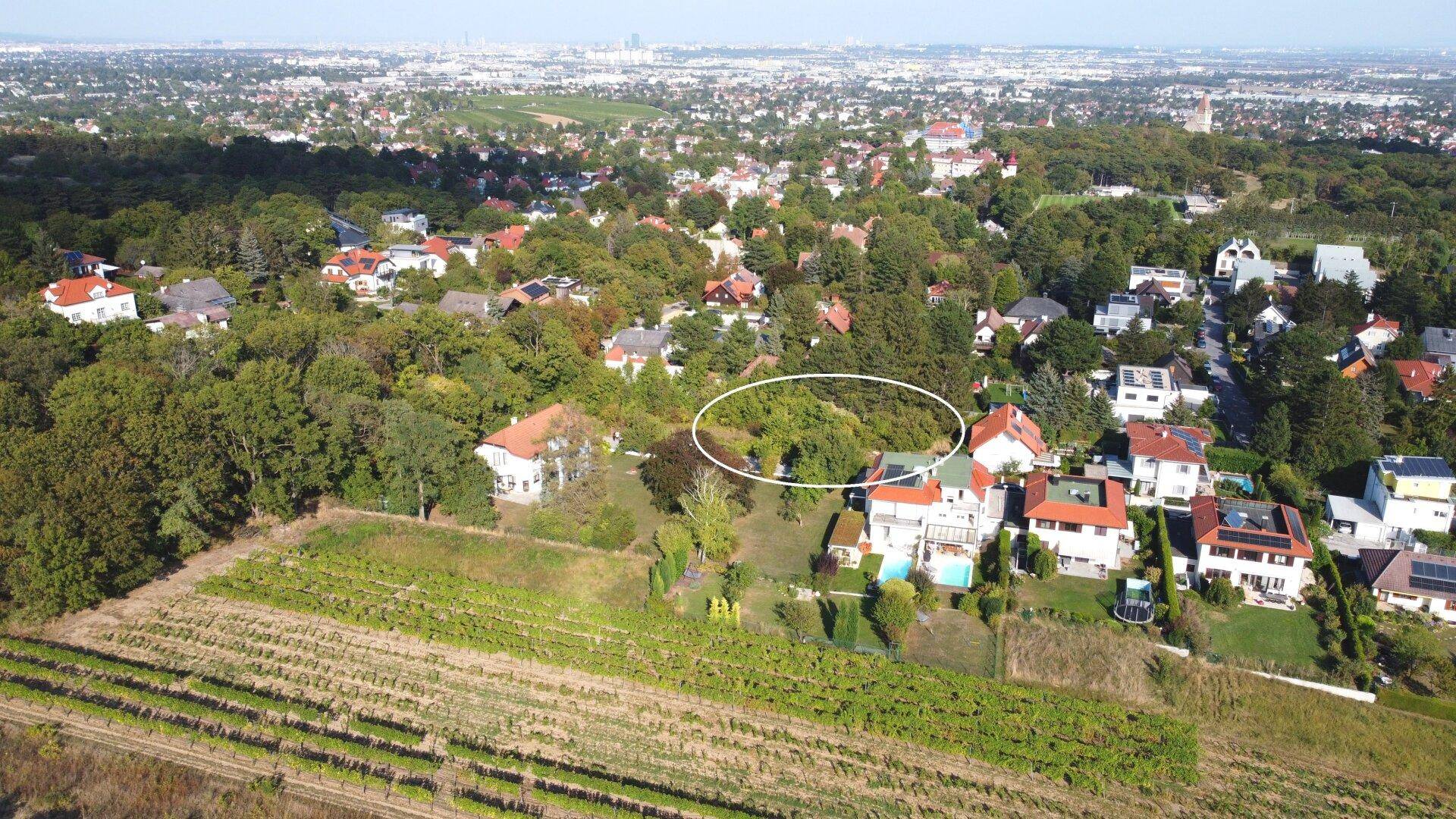 Mikrolage