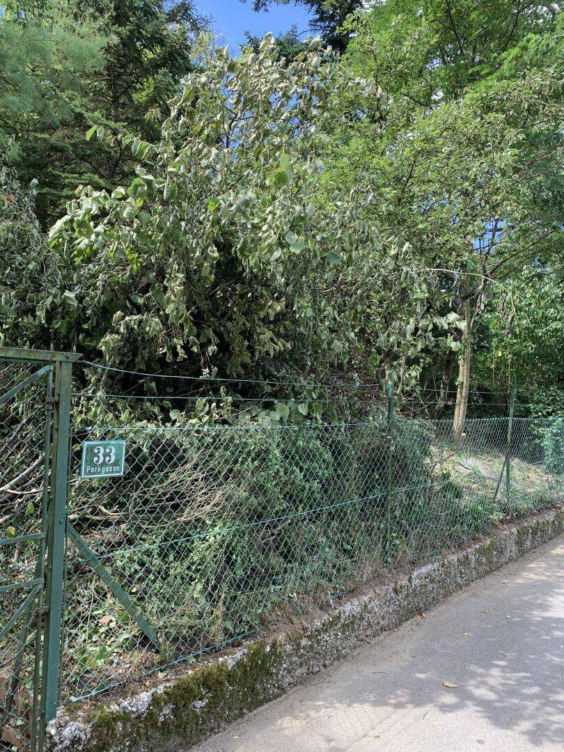Großzügiges 1115m² Grundstück mit Garten in 2123 Kronberg, Niederösterreich! - Widok 2