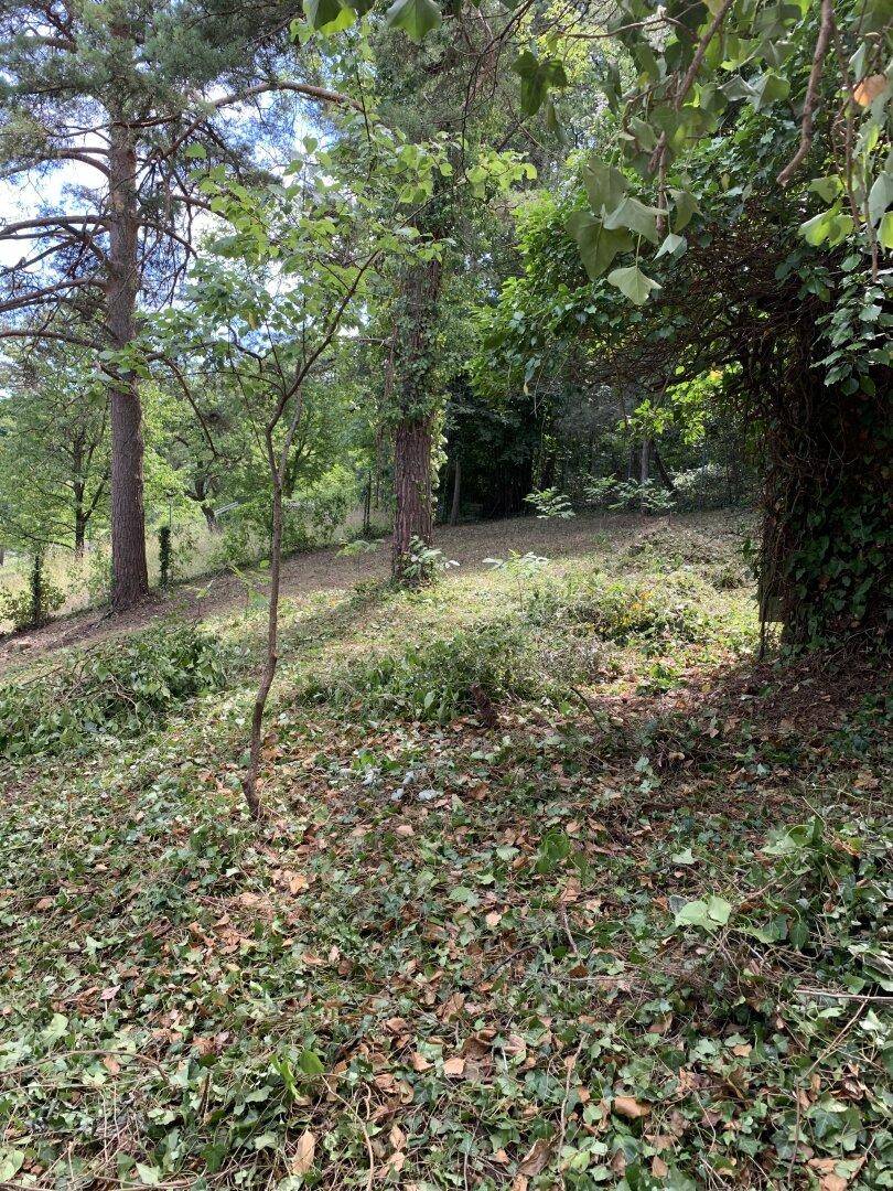Großzügiges 1115m² Grundstück mit Garten in 2123 Kronberg, Niederösterreich! - Widok 4