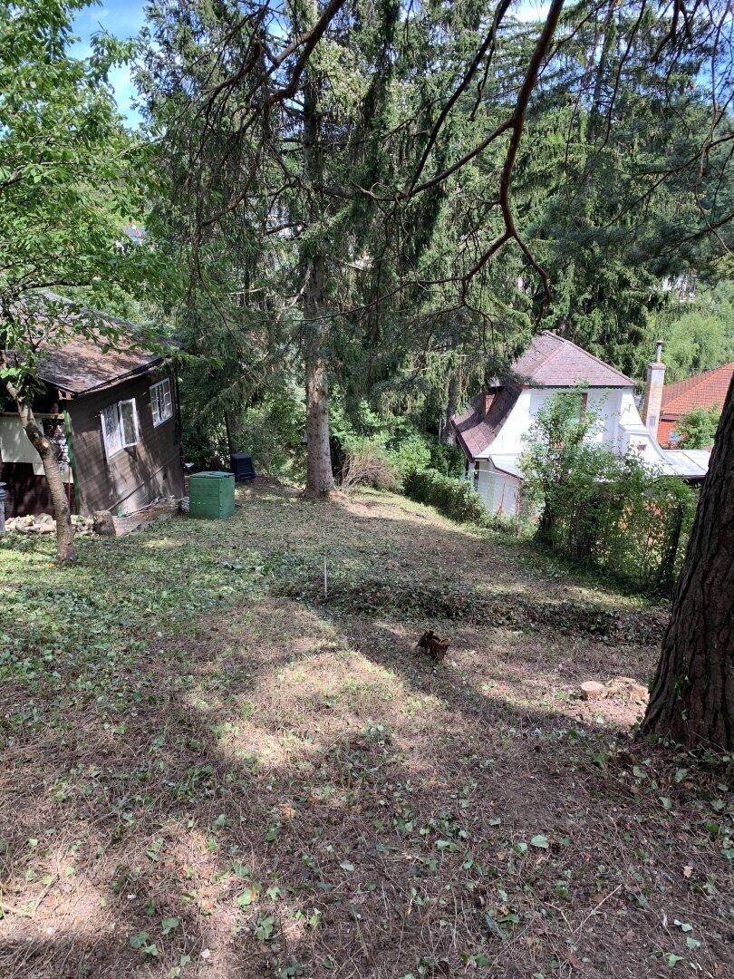 Großzügiges 1115m² Grundstück mit Garten in 2123 Kronberg, Niederösterreich! - Widok 6