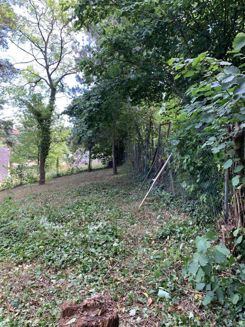 Großzügiges 1115m² Grundstück mit Garten in 2123 Kronberg, Niederösterreich! - Widok 5