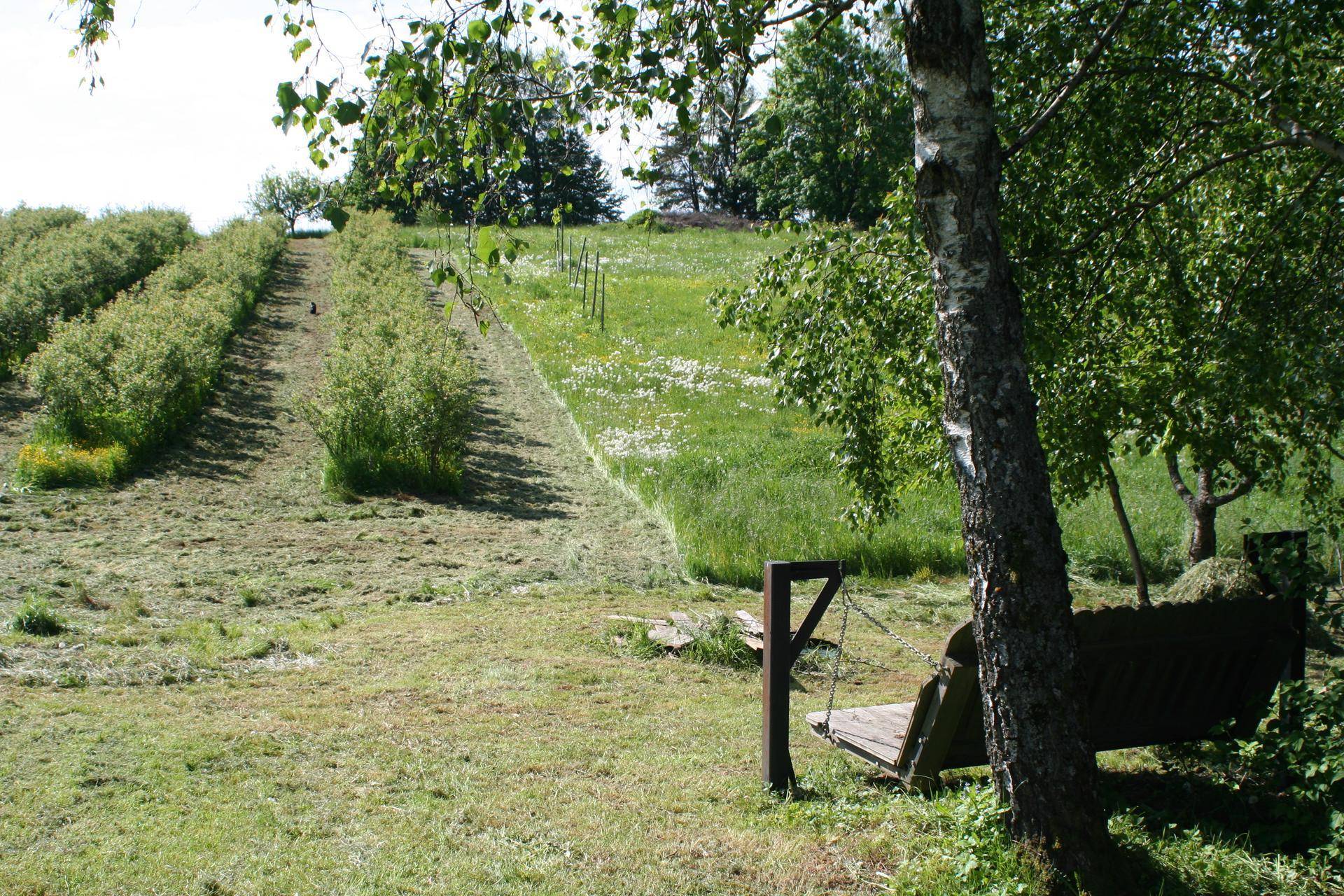 Slide 13