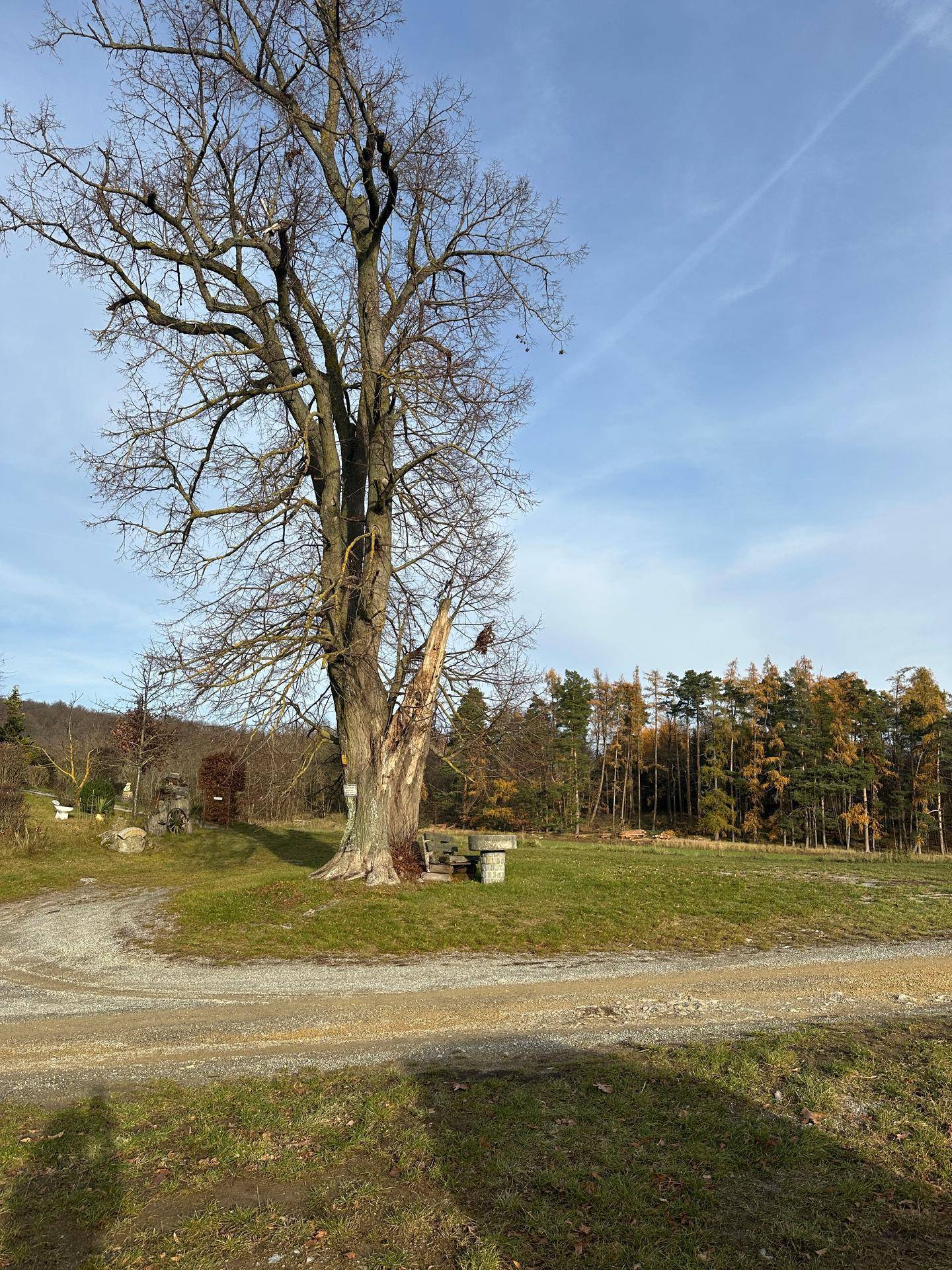 EINZIGARTIGE GELEGENHEIT FÜR TINY HOUSE BESITZER - Ansicht 6
