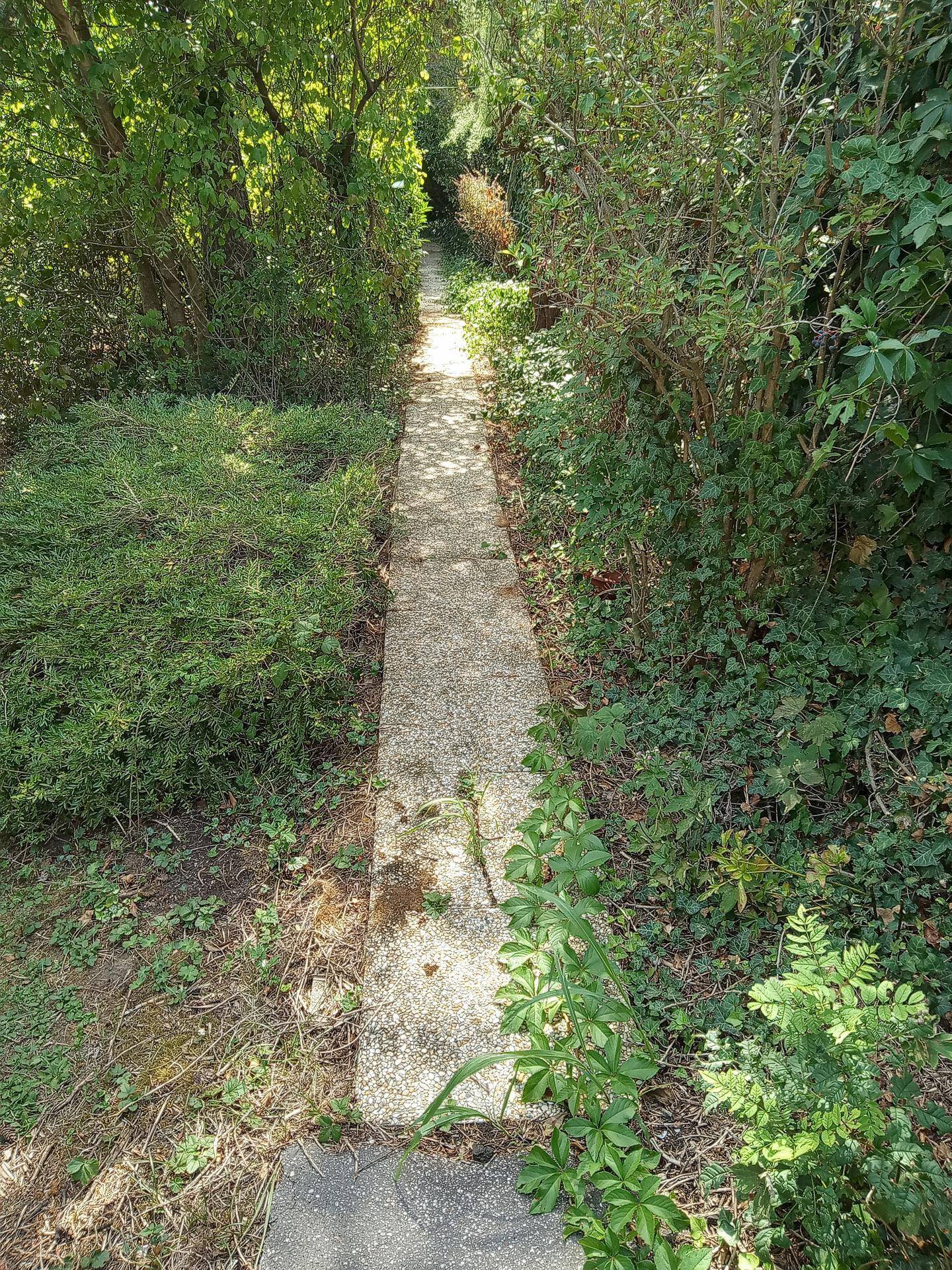 Slide 2