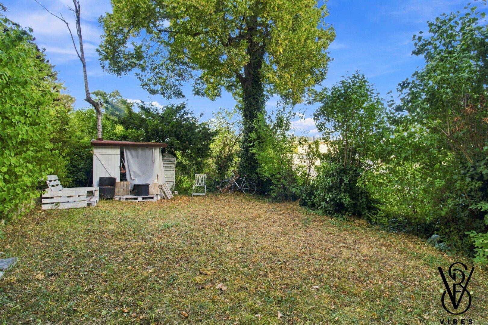 Großer Garten mit Rasenfläche, altem Baum und Gartenhaus.
