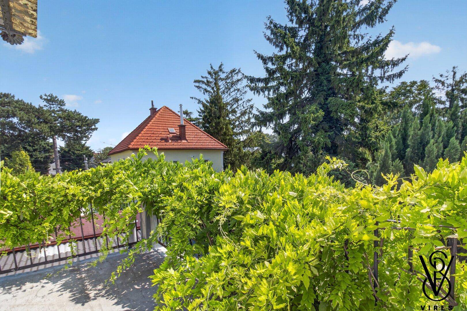 Sonniger Balkon mit grüner Bepflanzung und weitem Blick über die Nachbarschaft und Bäume.