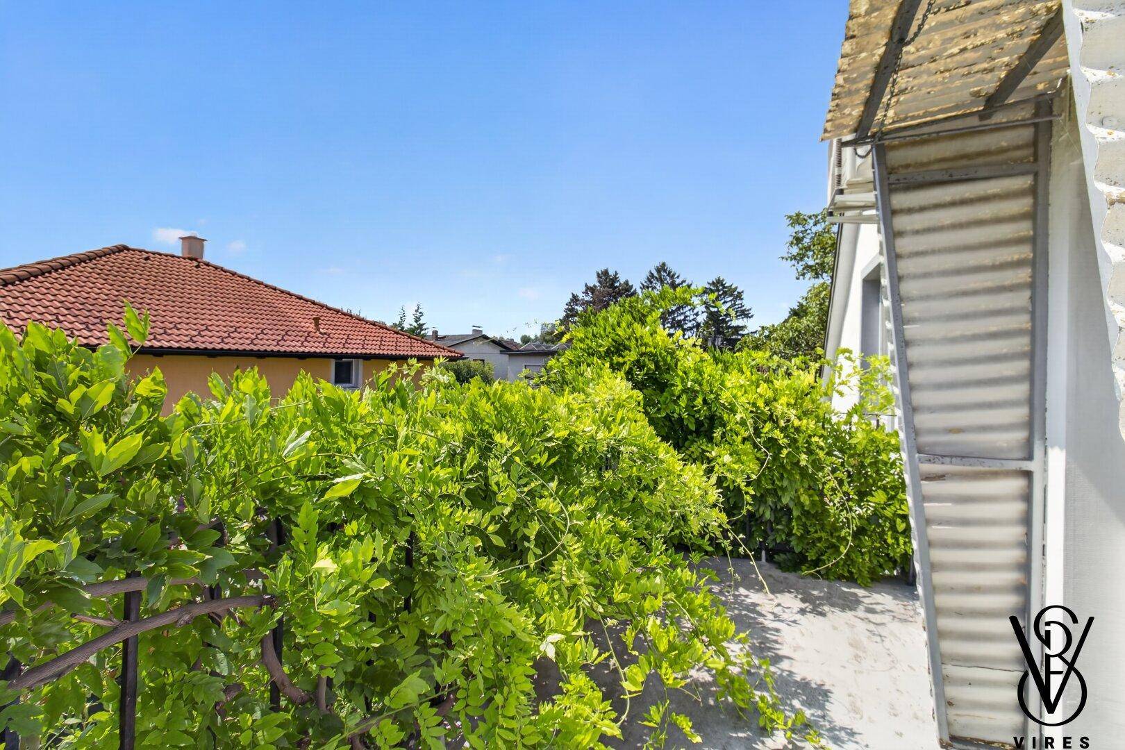 Balkon mit üppiger grüner Bepflanzung und Blick auf die umliegenden Häuser und Bäume.
