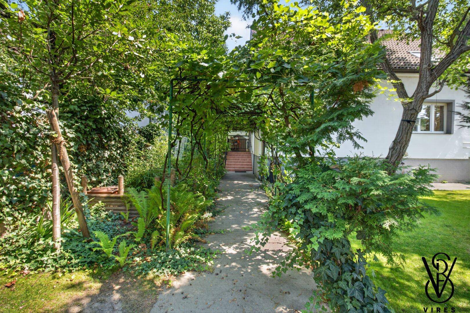 Verwunschener Gartenweg, umgeben von dichtem Grün und Bäumen, führt zum Hauseingang.