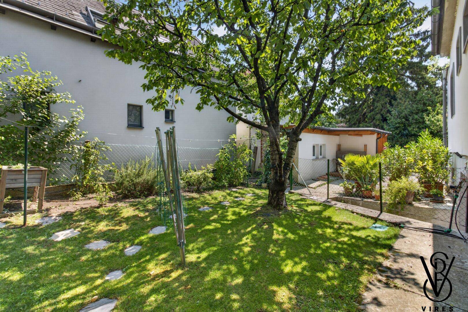 Weitläufiger Garten mit Rasen, schattenspendendem Baum und Hochbeeten.
