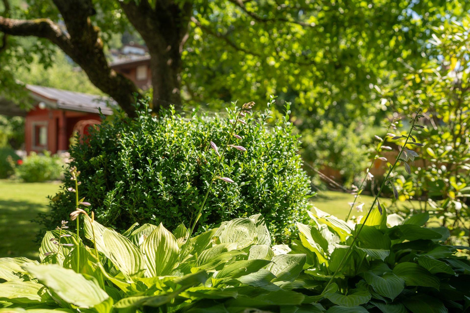 Garten