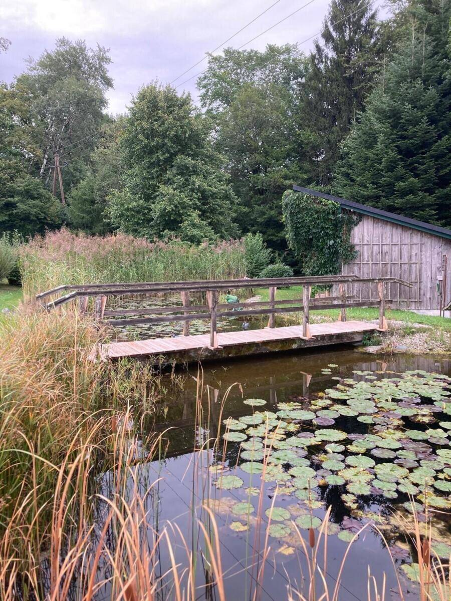 Idyllischer Teich mit Seerosen und einer kleinen Holzbrücke, umgeben von Schilf.
