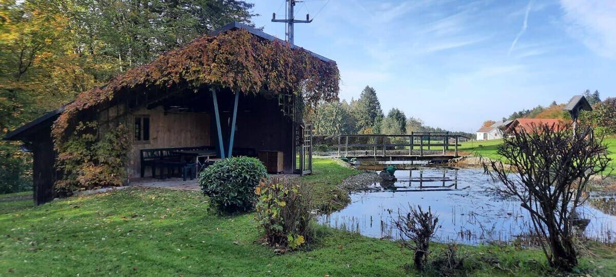 Rustikales Gartenhaus am Teich mit Holzbrücke und üppiger Vegetation.