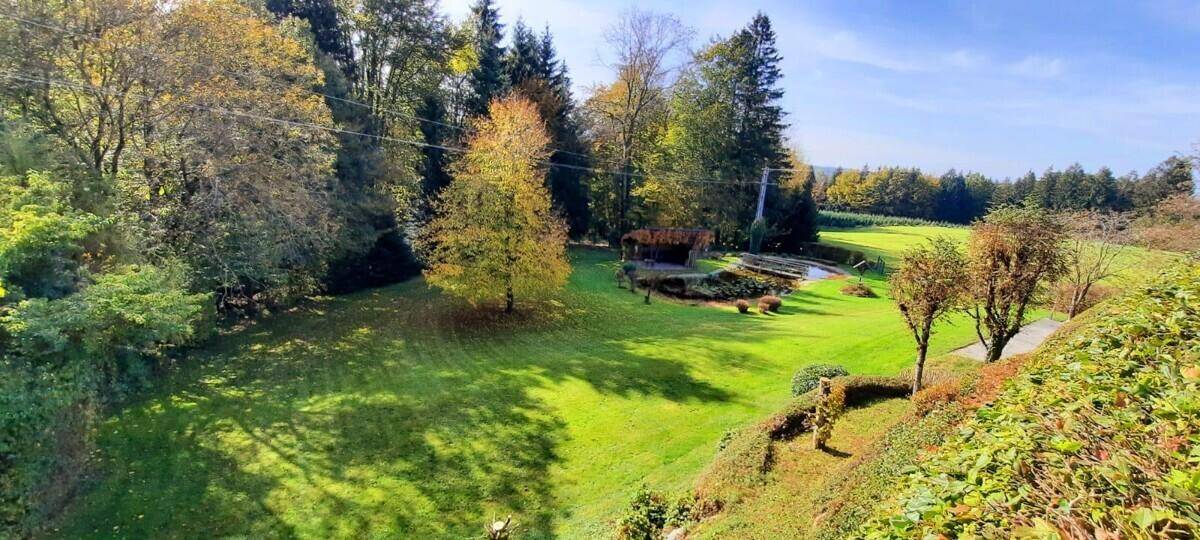 Sonniger, weitläufiger Garten mit großen Bäumen und Blick auf die umliegende Natur.