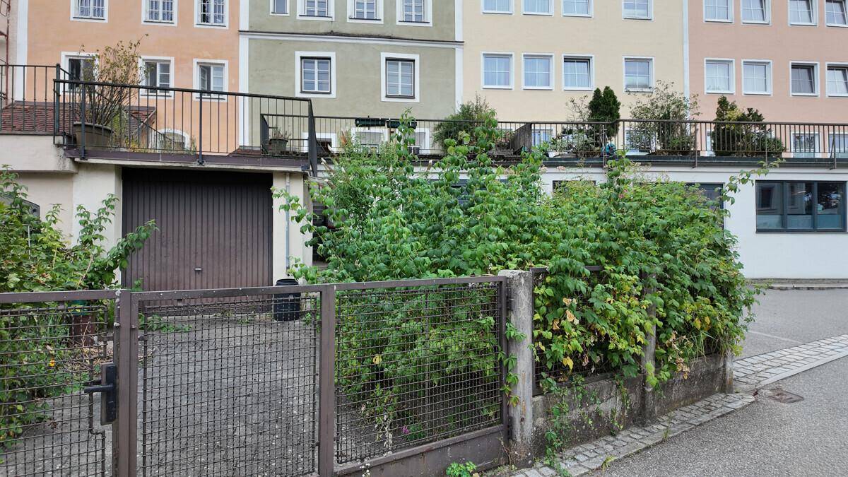 Rückseite eines Wohngebäudes mit Garagentor und üppiger, wilder Bepflanzung.