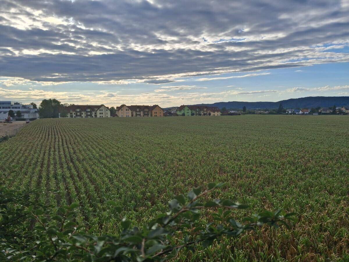 Weitläufiger Blick über ein grünes Feld mit Häusern am Horizont unter bewölktem Himmel.
