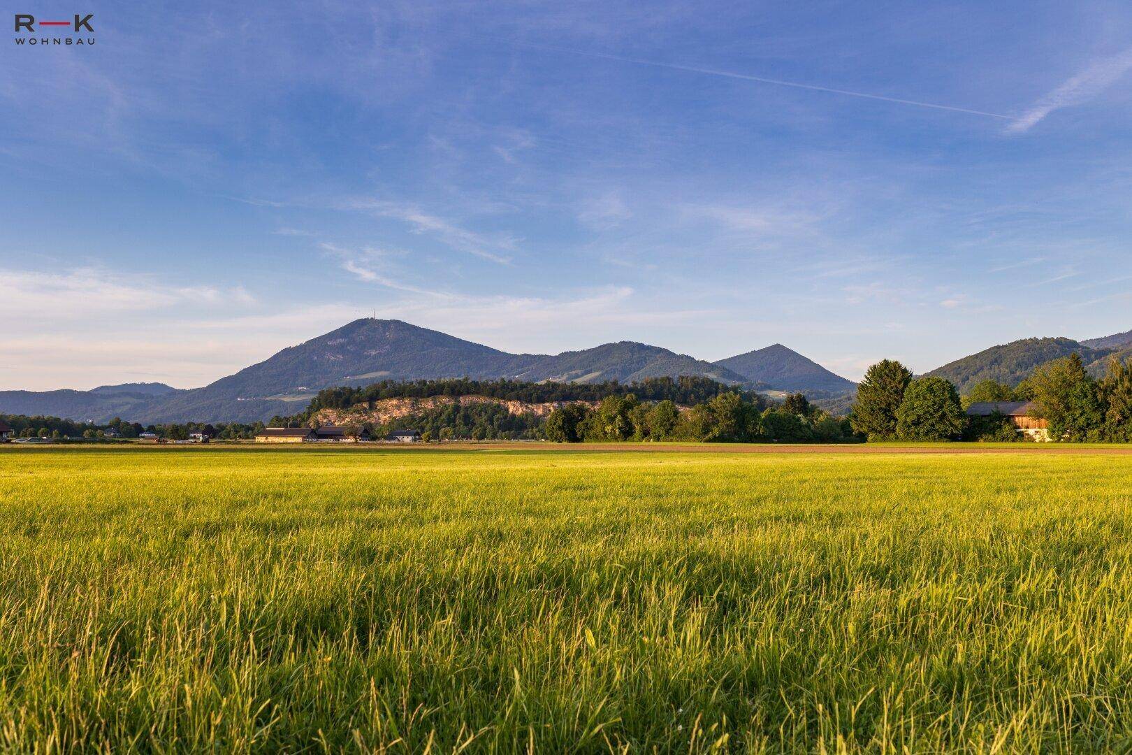 Weite grüne Felder erstrecken sich bis zu einer sanften Hügellandschaft unter blauem Himmel.
