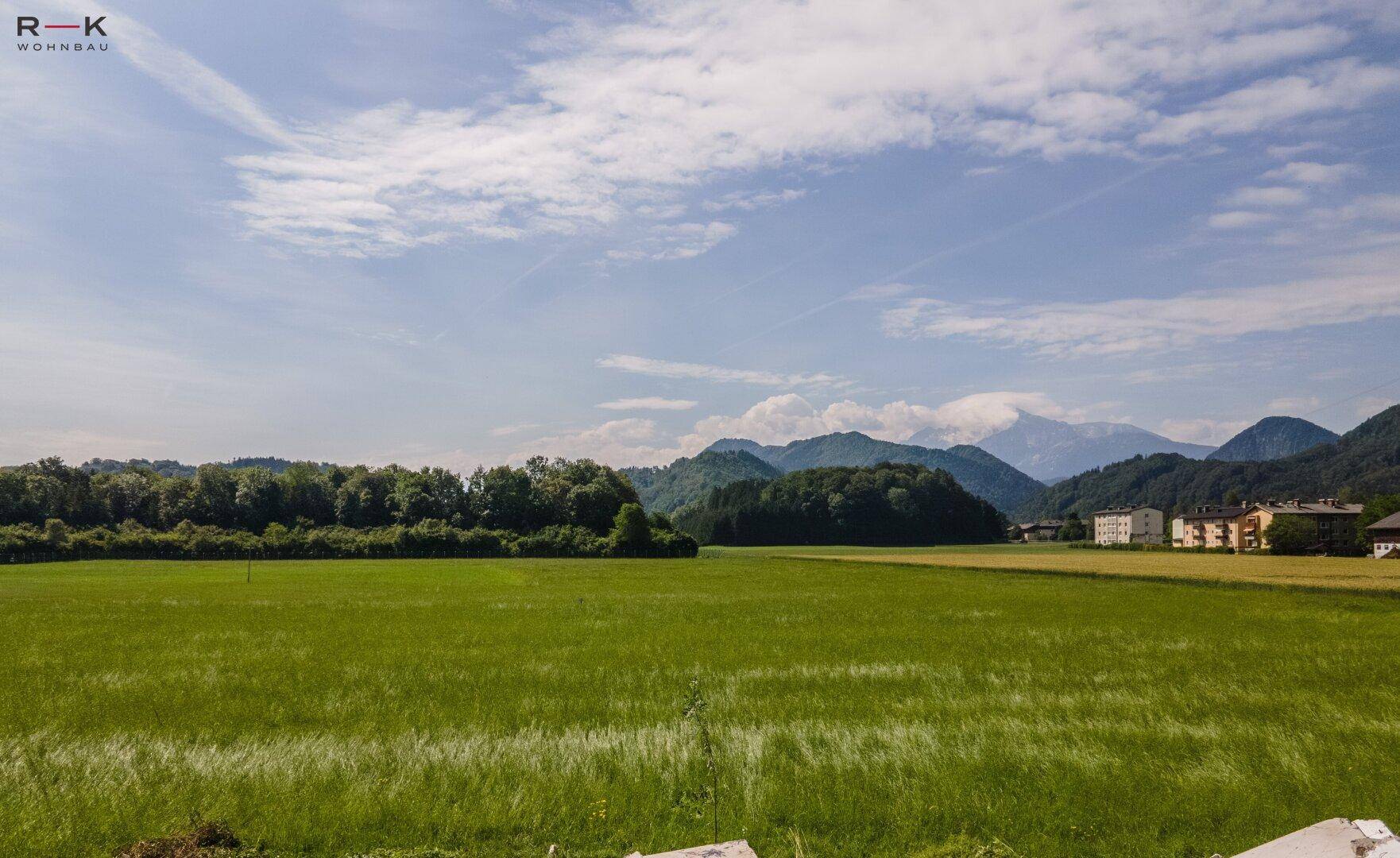 Weitläufige grüne Felder mit Waldrand und Bergblick unter einem blauen Himmel.
