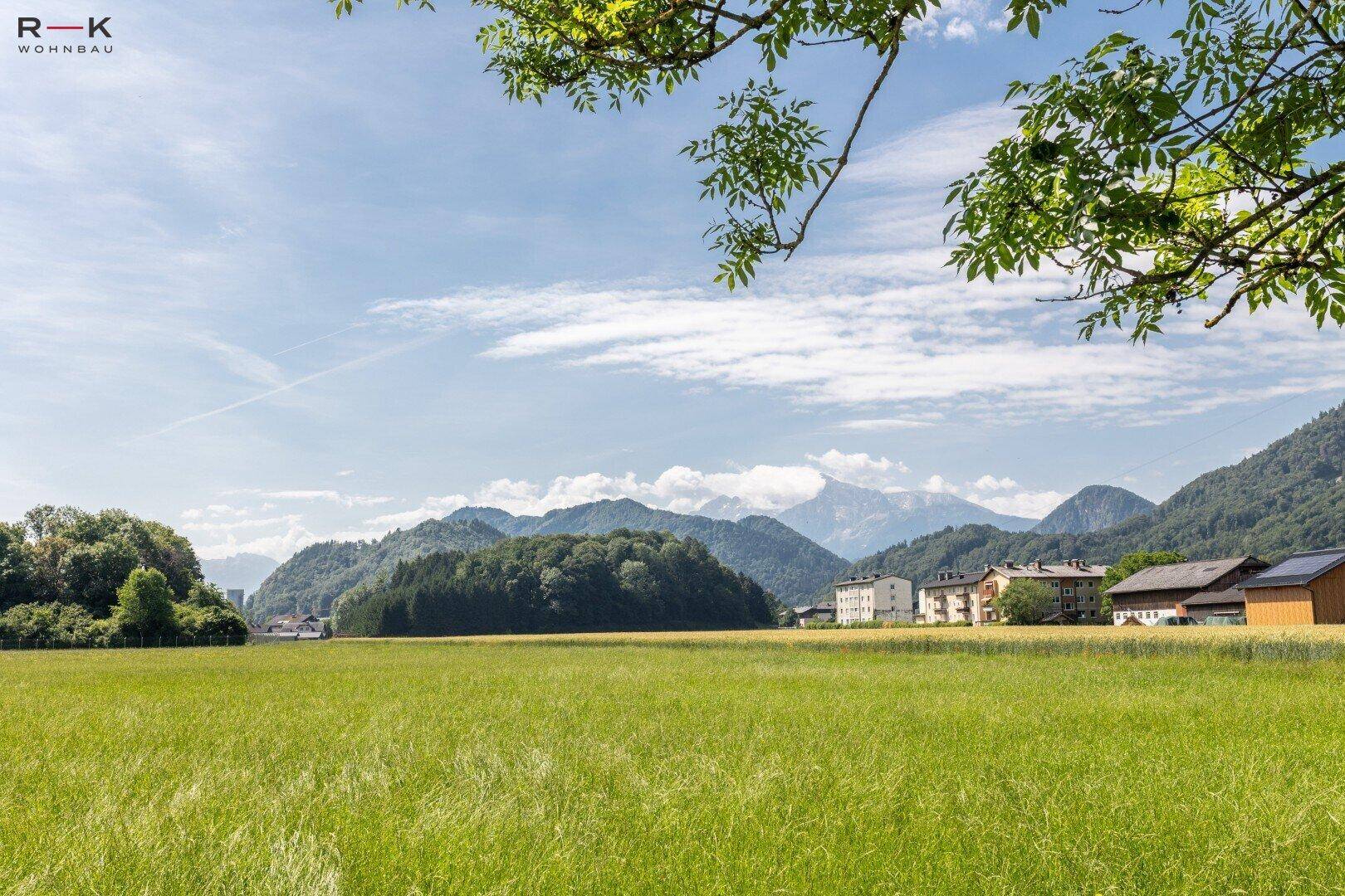 Weite grüne Felder mit Bergen im Hintergrund und einigen Gebäuden unter klarem Himmel.
