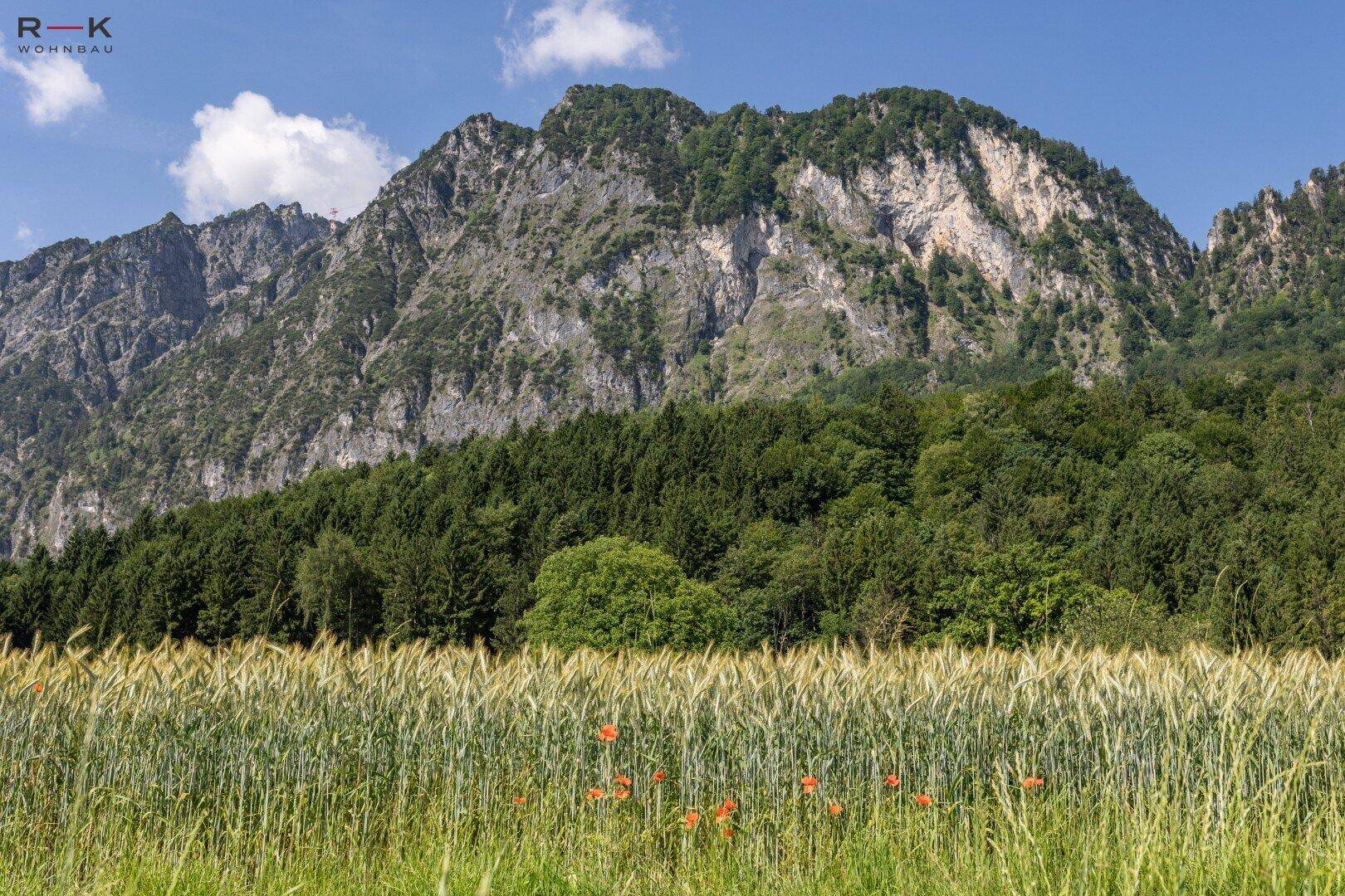 Majestätischer, bewaldeter Berg erhebt sich über einem grünen Feld mit Getreide unter einem klaren blauen Himmel.