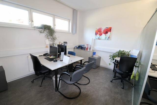 Büro mit mehreren Arbeitsplätzen, Fenstern und moderner Dekoration.