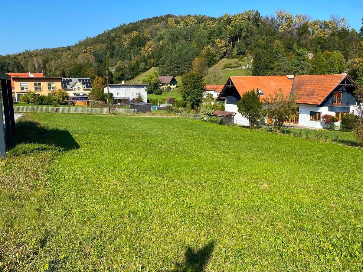 Großes grünes Grundstück mit Blick auf benachbarte Häuser und den Wald am Horizont.