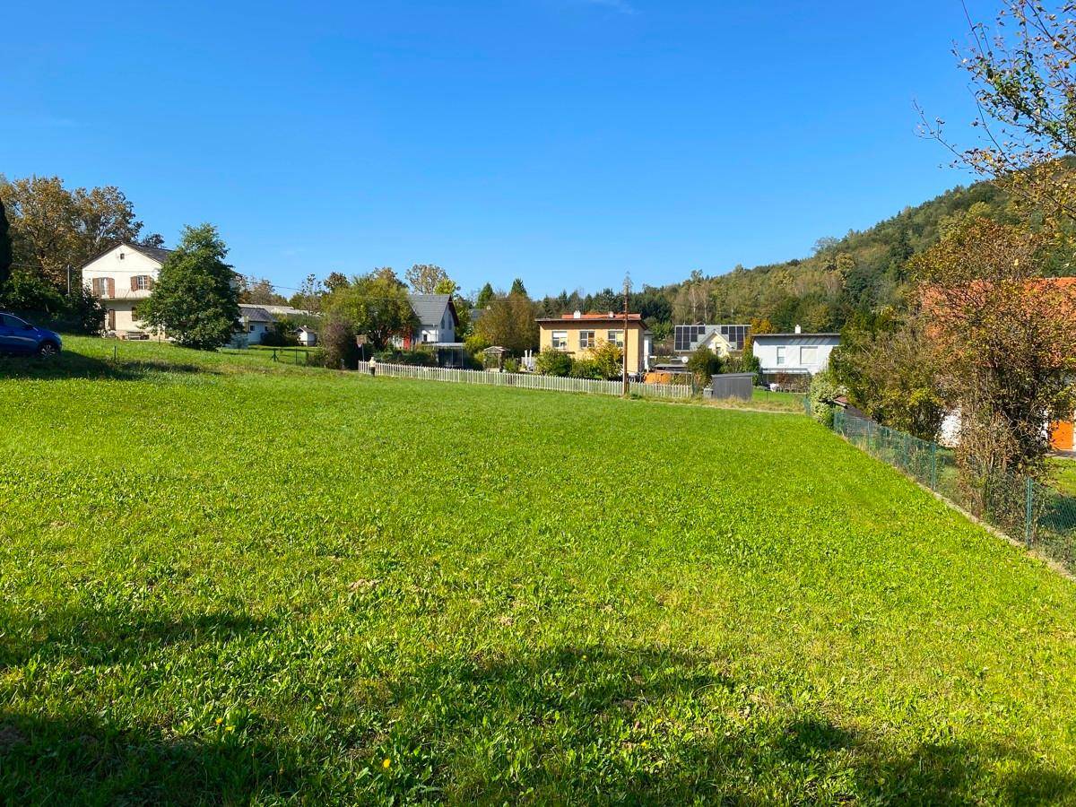 Sonnige Grünfläche mit Blick auf umliegende Häuser und die bewaldete Hügellandschaft.