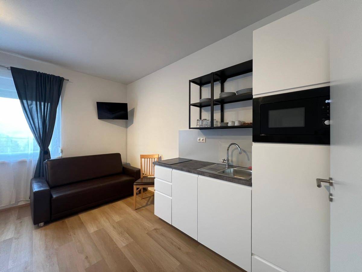 Moderne Küchenzeile mit Mikrowelle, Spüle und offenem Regal im Wohnbereich.