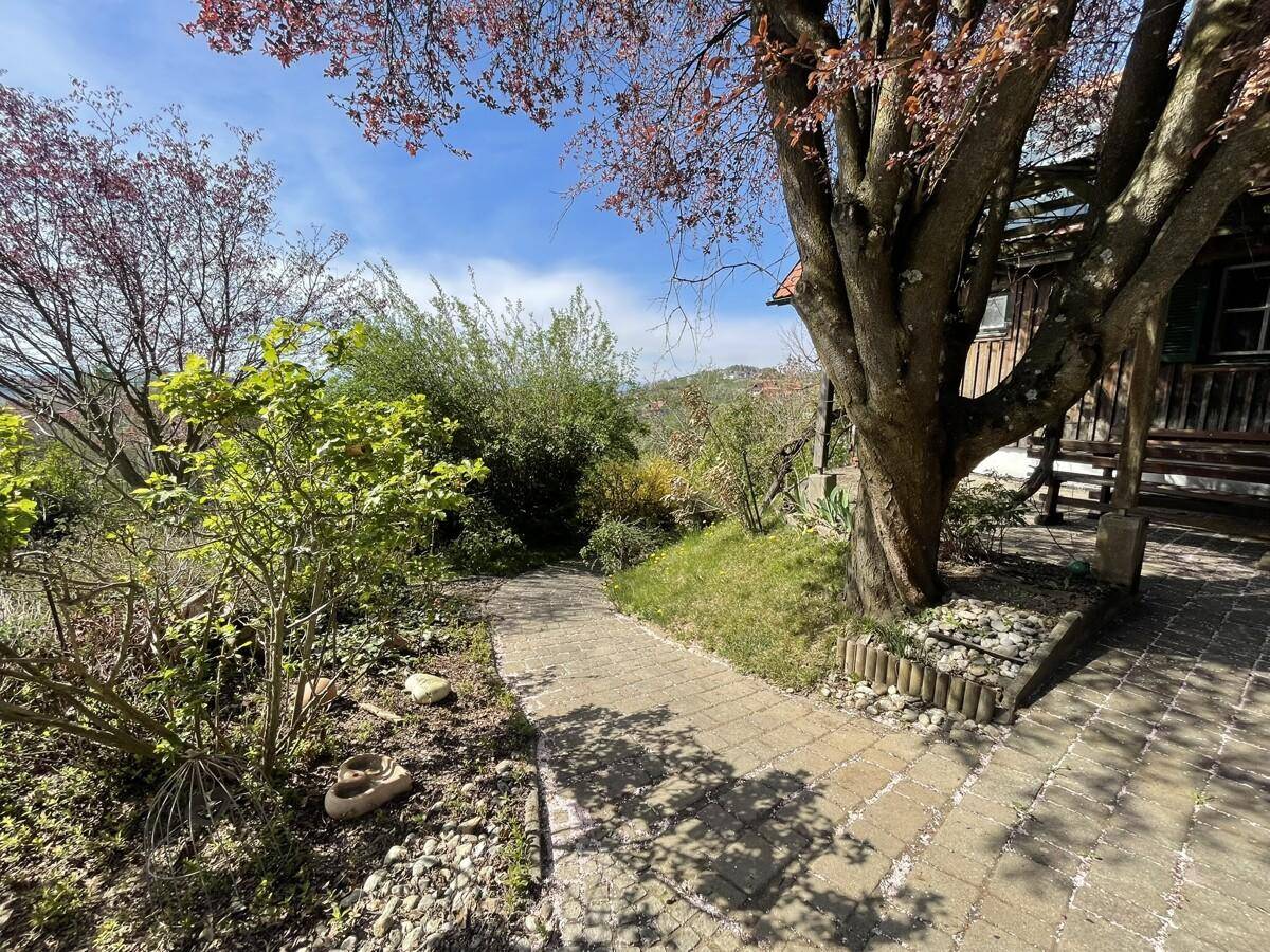 Gepflasterter Gartenweg, umgeben von grünen Pflanzen und Bäumen.