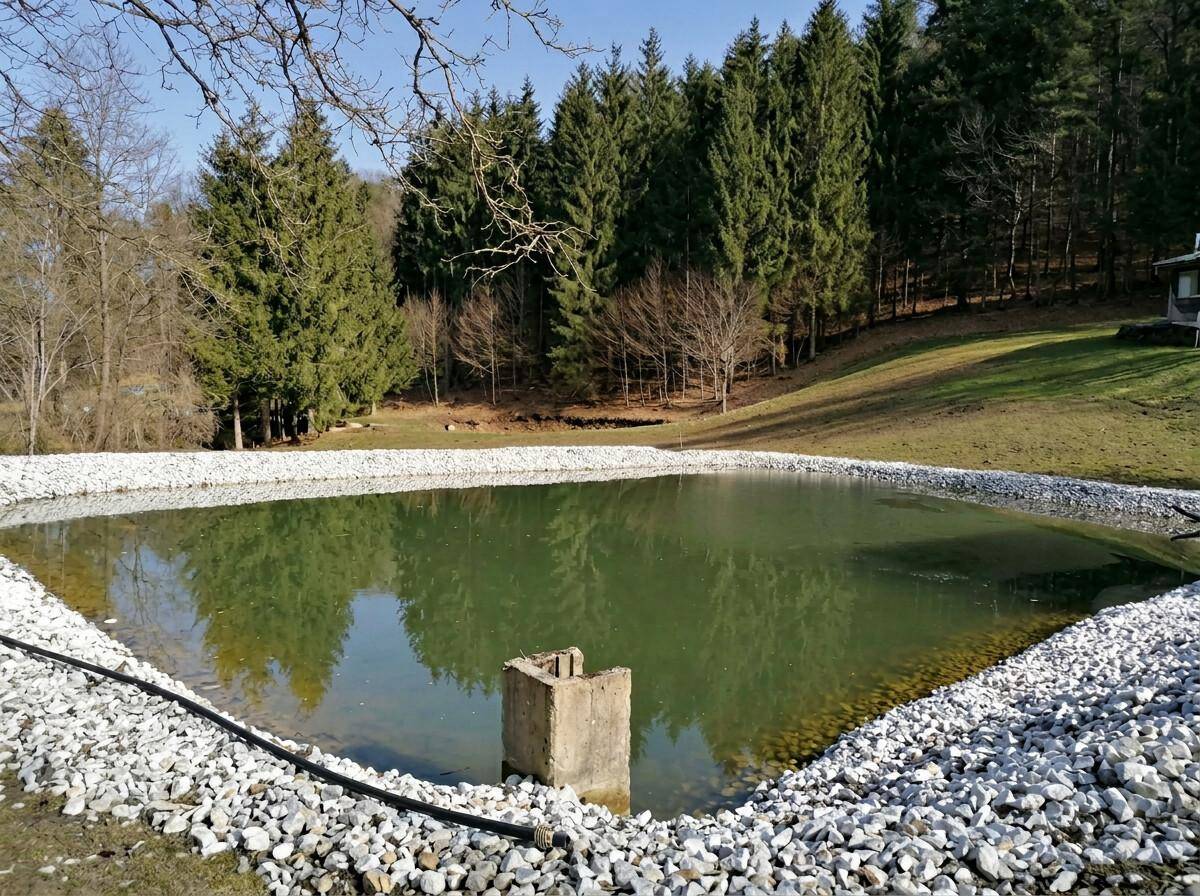 Natürlicher Teich mit weißem Kiesrand, eingebettet in eine grüne Landschaft mit dichtem Nadelwald.