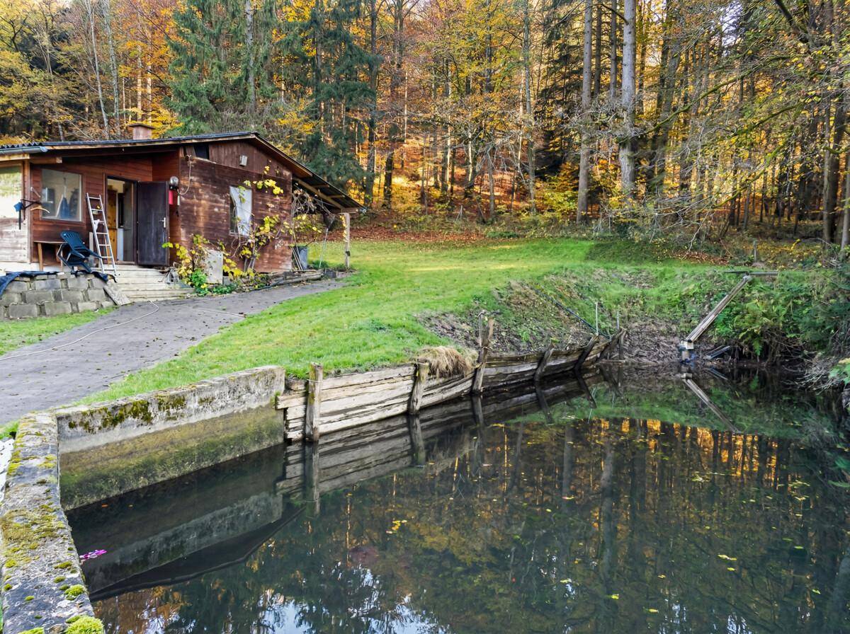 Rustikales Holzhaus neben einem Teich, umgeben von herbstlichem Wald und grünen Wiesen im Sonnenlicht.