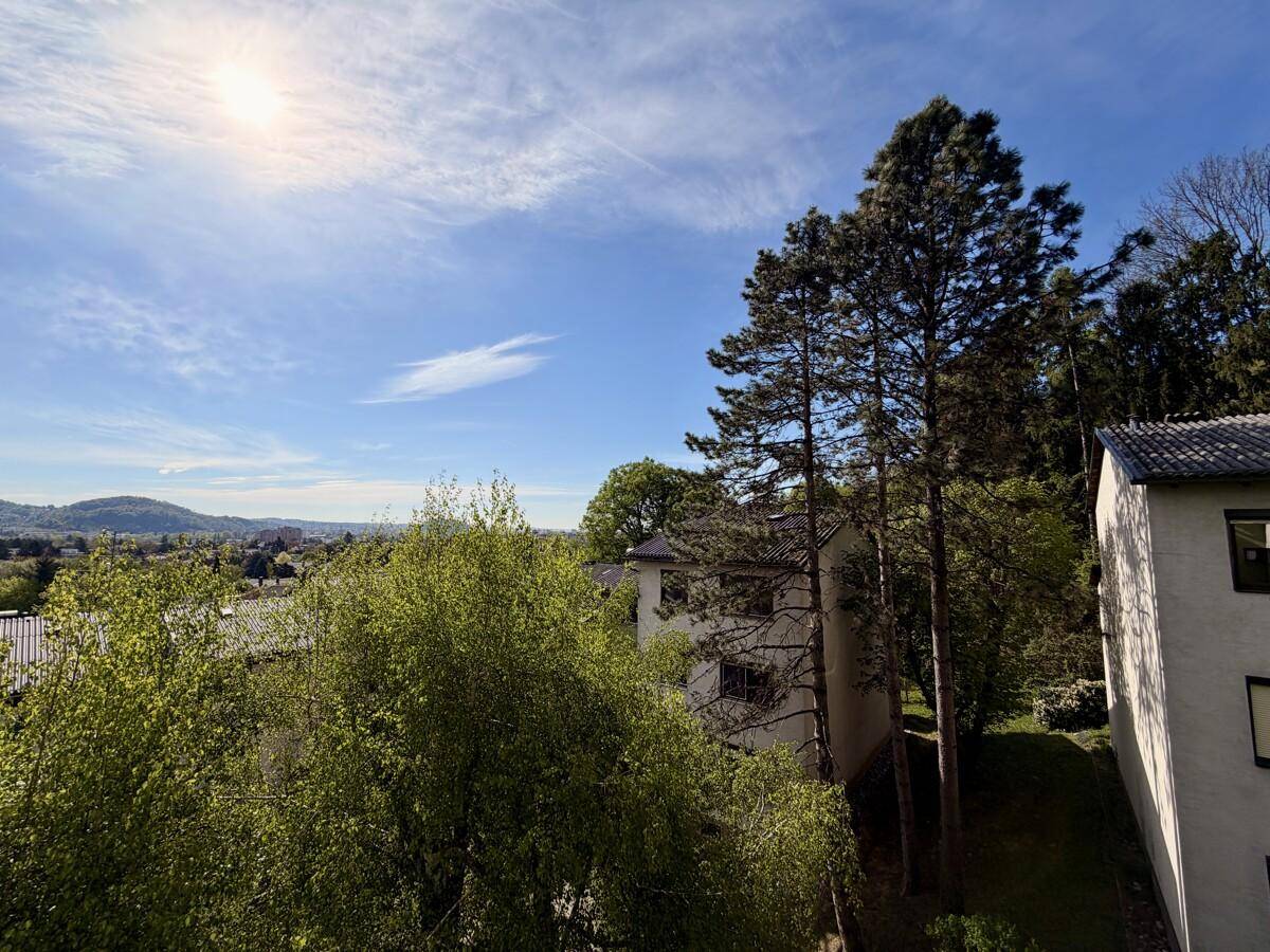 Sonniger Ausblick über die Baumwipfel und umliegenden Gebäude unter blauem Himmel.