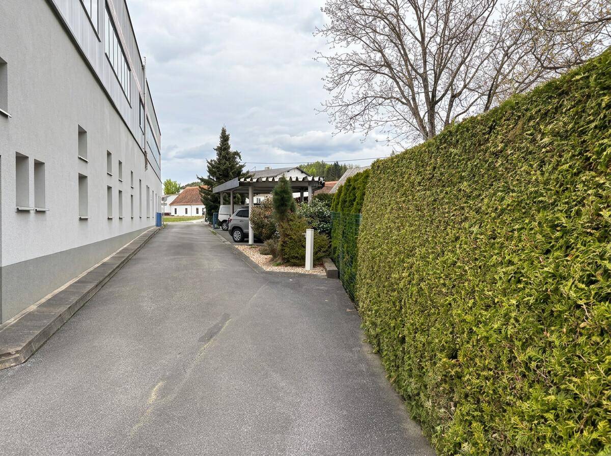 Zufahrt zu einem Gebäude, gesäumt von einer hohen Hecke und Bäumen.