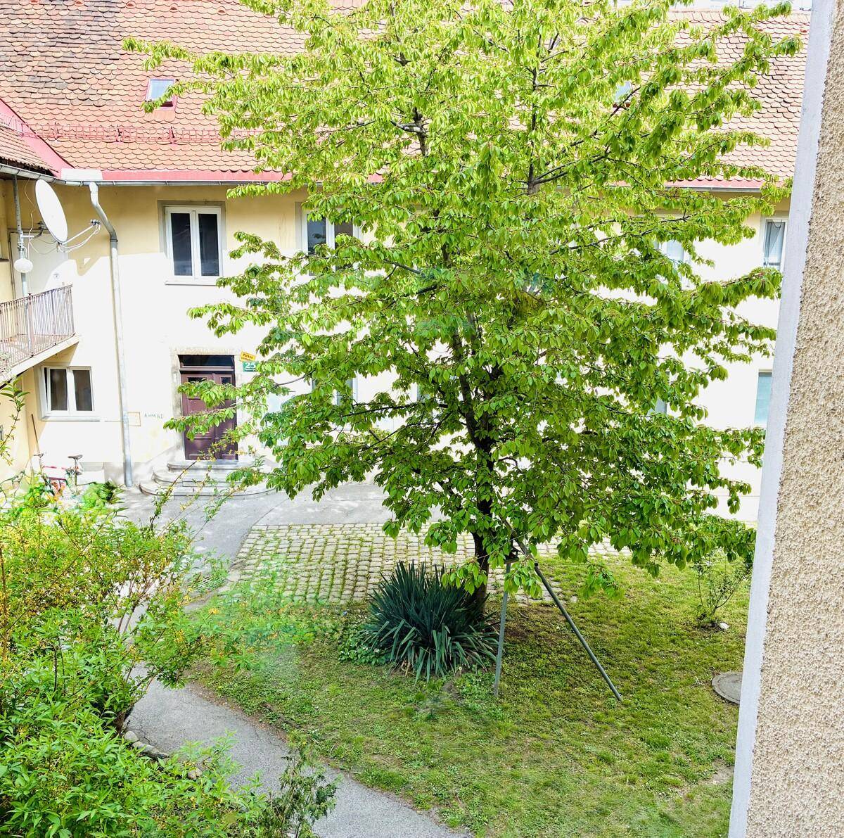 Blick von oben auf einen grünen Innenhof mit Rasenfläche, Bäumen und gepflasterten Wegen.