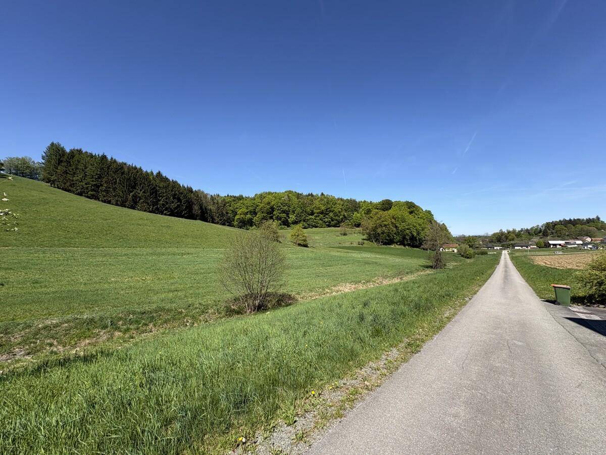 Ländliche Straße führt durch eine weite grüne Landschaft mit Feldern und Wäldern.
